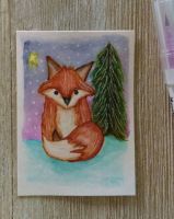 The Cutest Fox